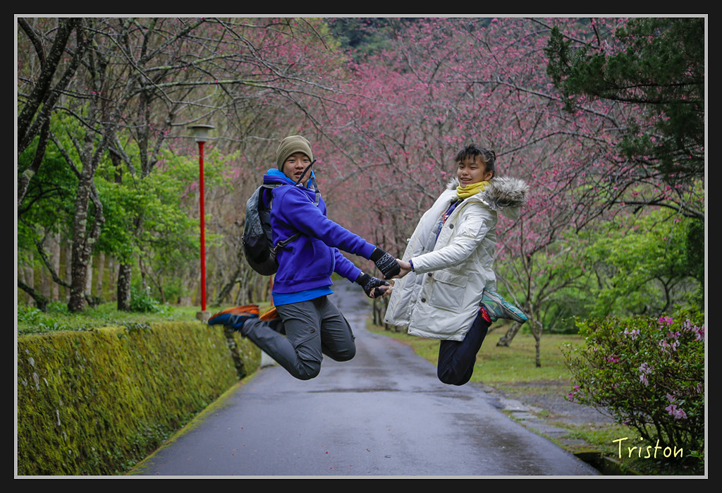 _H1A2037.jpg - 20170212 武界 萬大電廠 奧萬大