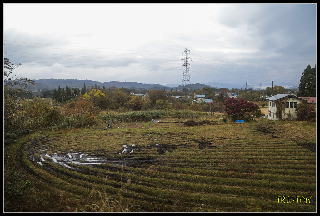 _H1A0259.jpg - 20171103 日本只見線、會津若松五色沼、昭和記念公園賞紅葉