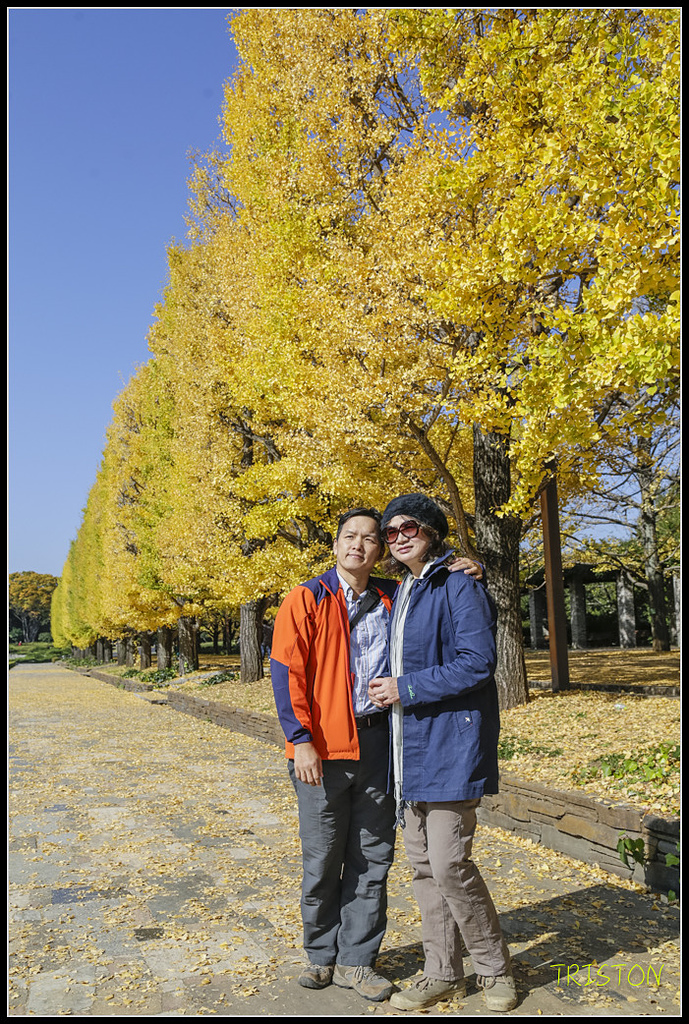 _H1A1590.jpg - 20171103 日本只見線、會津若松五色沼、昭和記念公園賞紅葉