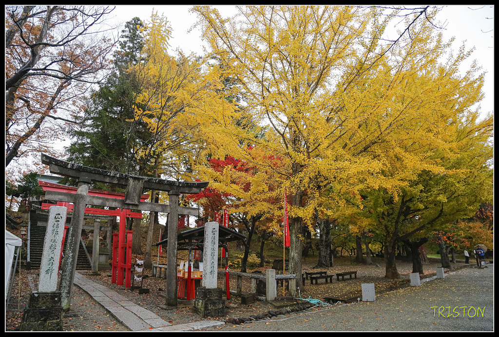 _H1A0891.jpg - 20171103 日本只見線、會津若松五色沼、昭和記念公園賞紅葉