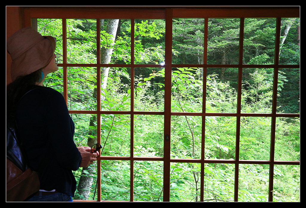 JH1A9367.jpg - 20150628 東京輕井澤日光