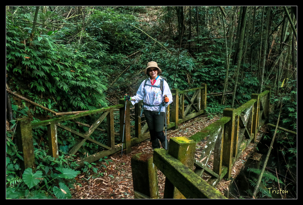 IMG_8486.jpg - 20151012 水社寮,四天王山