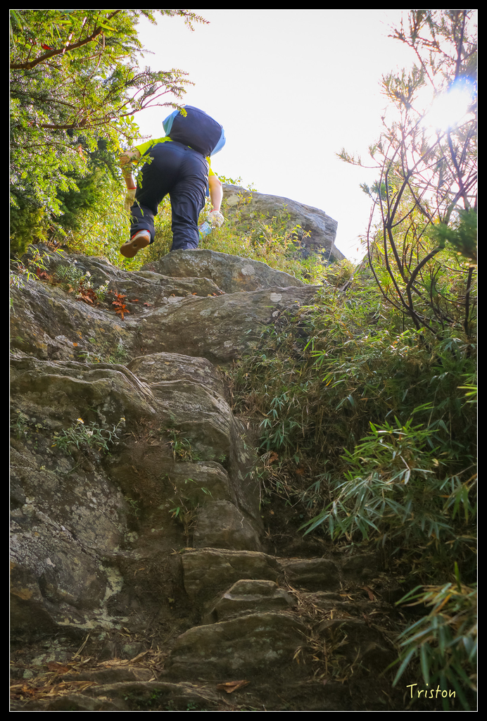 IMG_8622.jpg - 20151017 郡大林道、望鄉山、郡大山