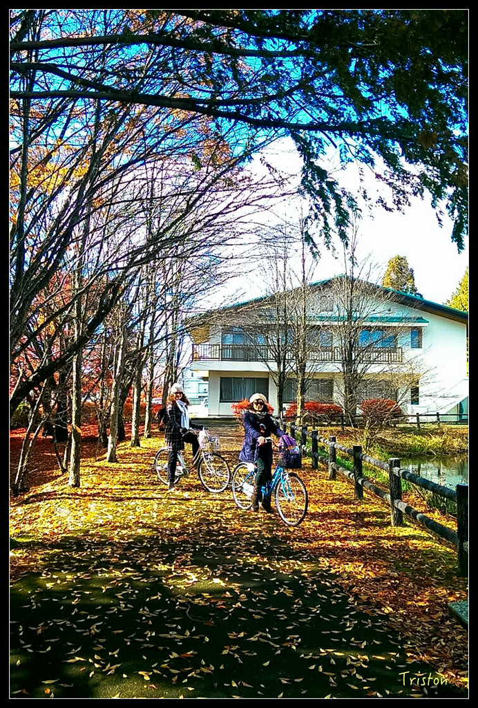 S__7528491.jpg - 20151031 秋天的童話-貴婦東京輕井澤紀行