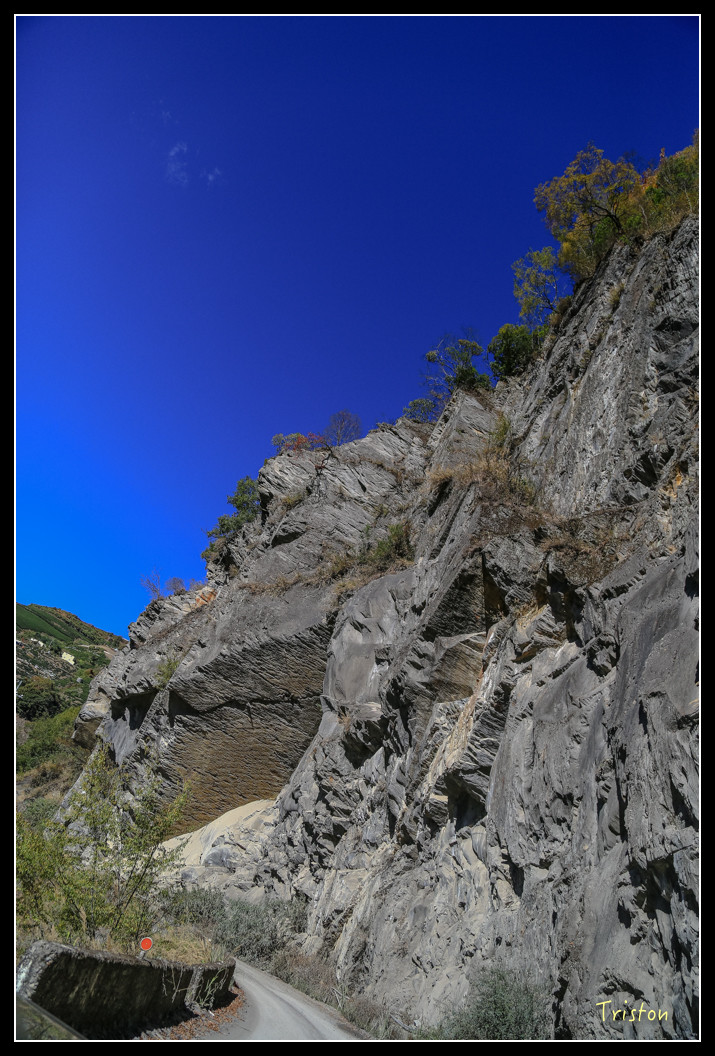 JH1A0593.jpg - 20151205 合歡溪步道、108K楓之谷