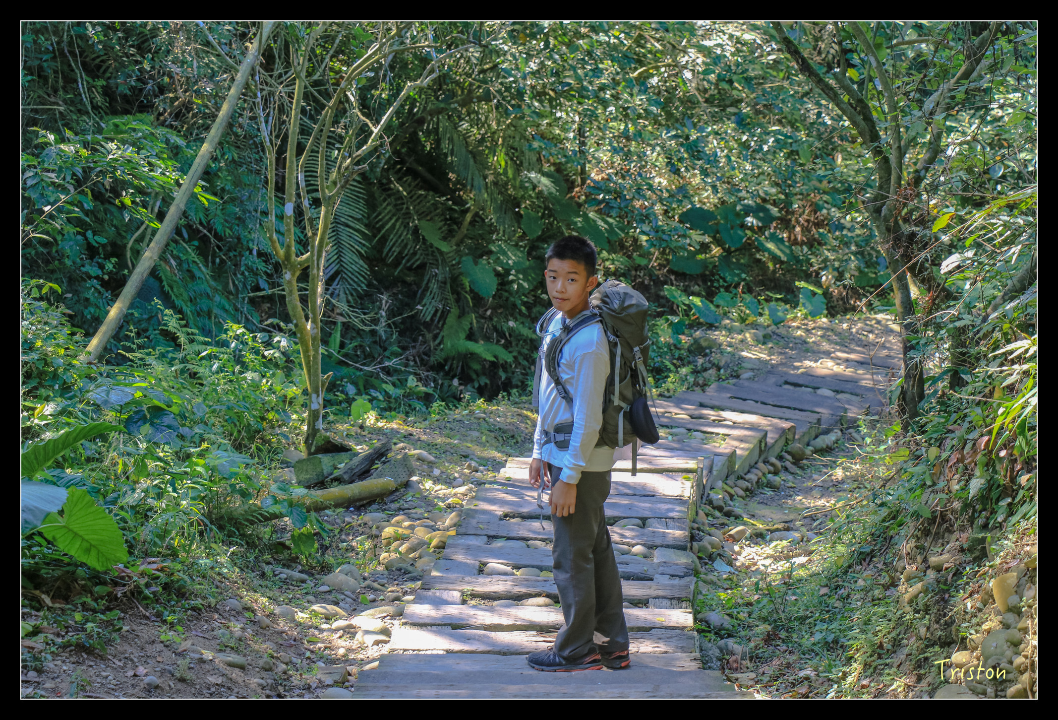 IMG_0384.jpg - 20151214 林內龍過脈步道