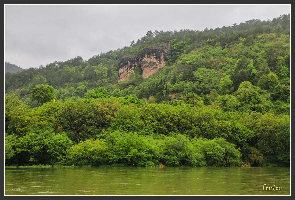 IMG_6786.jpg - 20160409 武夷山之旅