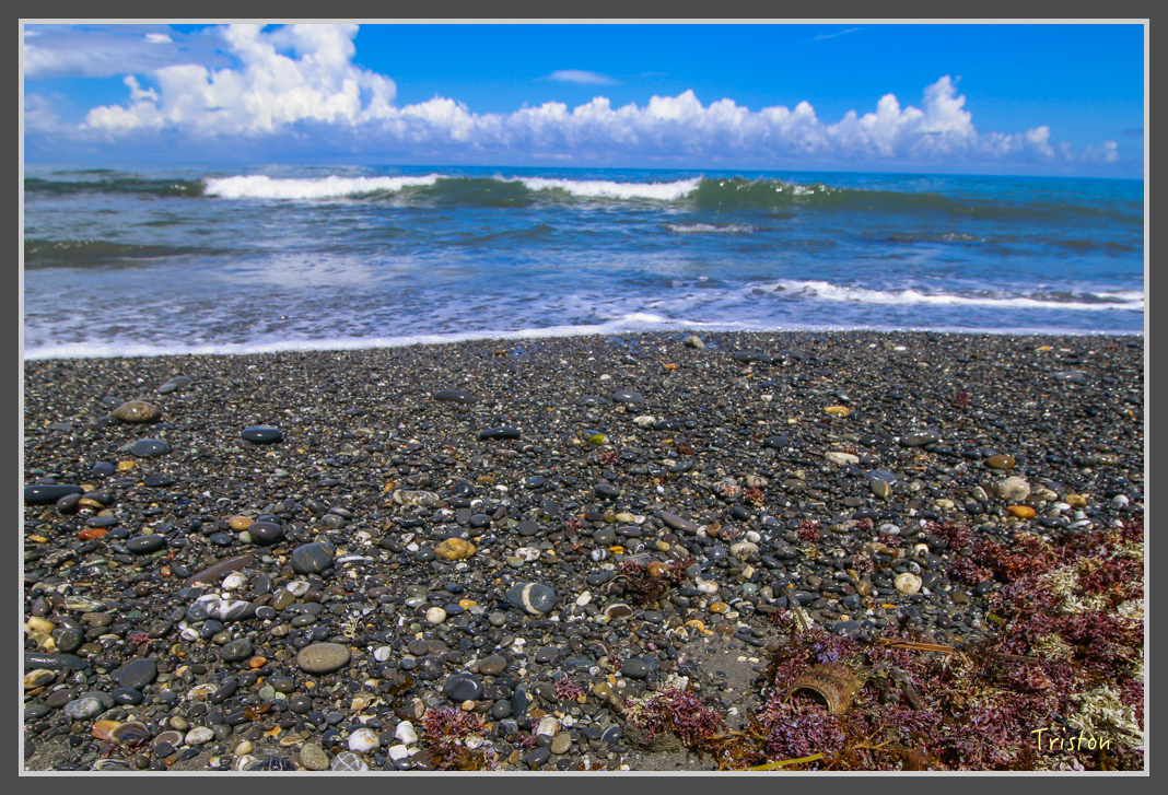 _MG_8491.jpg - 20160618 阿朗壹古道