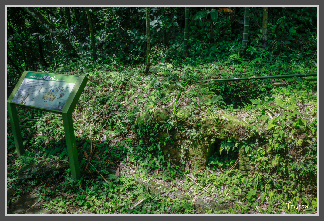 _MG_8657.jpg - 20160622 圓潭、雲潭、水社寮車站
