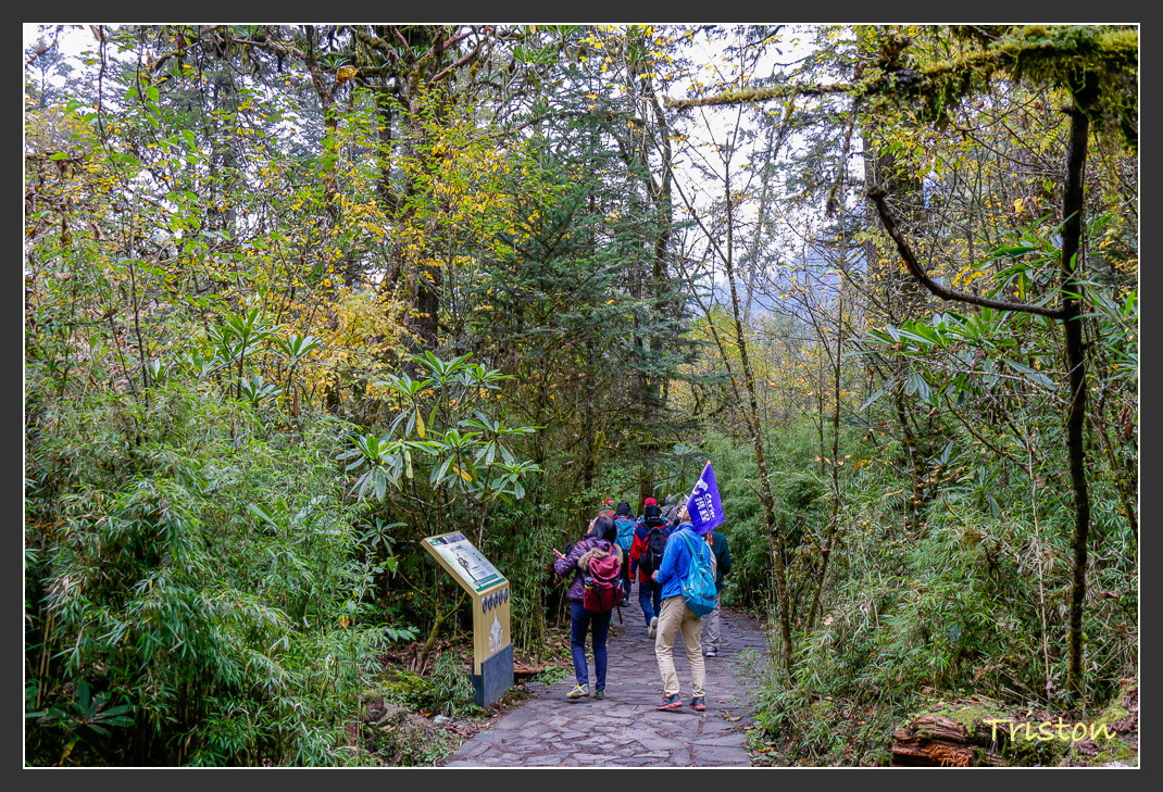 _MG_2708.jpg - 20161013 稻城亞丁