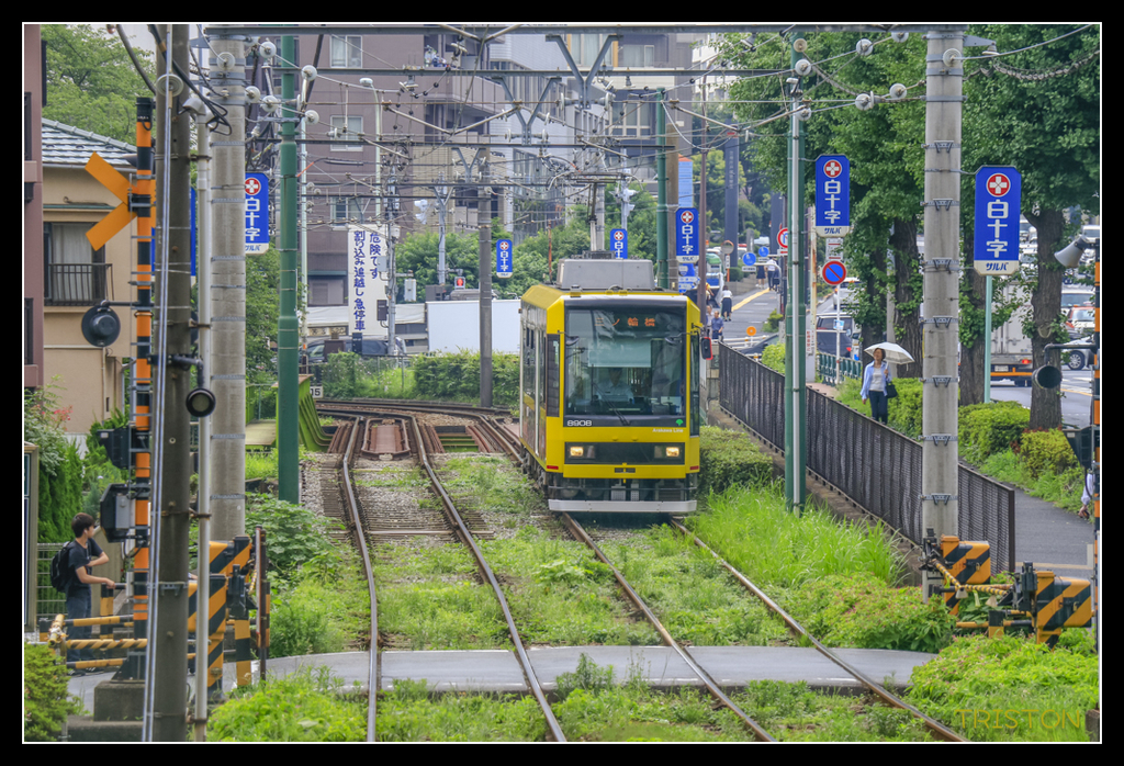 _MG_1795.jpg - 20170702 靜岡東海道之旅