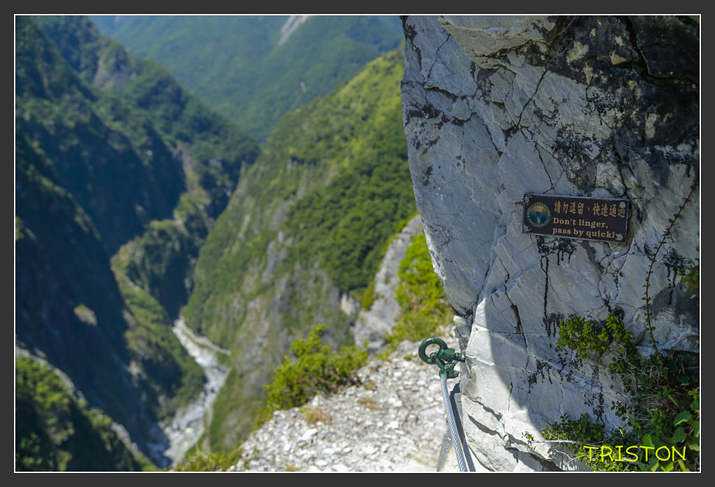 _H1A6410.jpg - 20170901 戀戀台九線