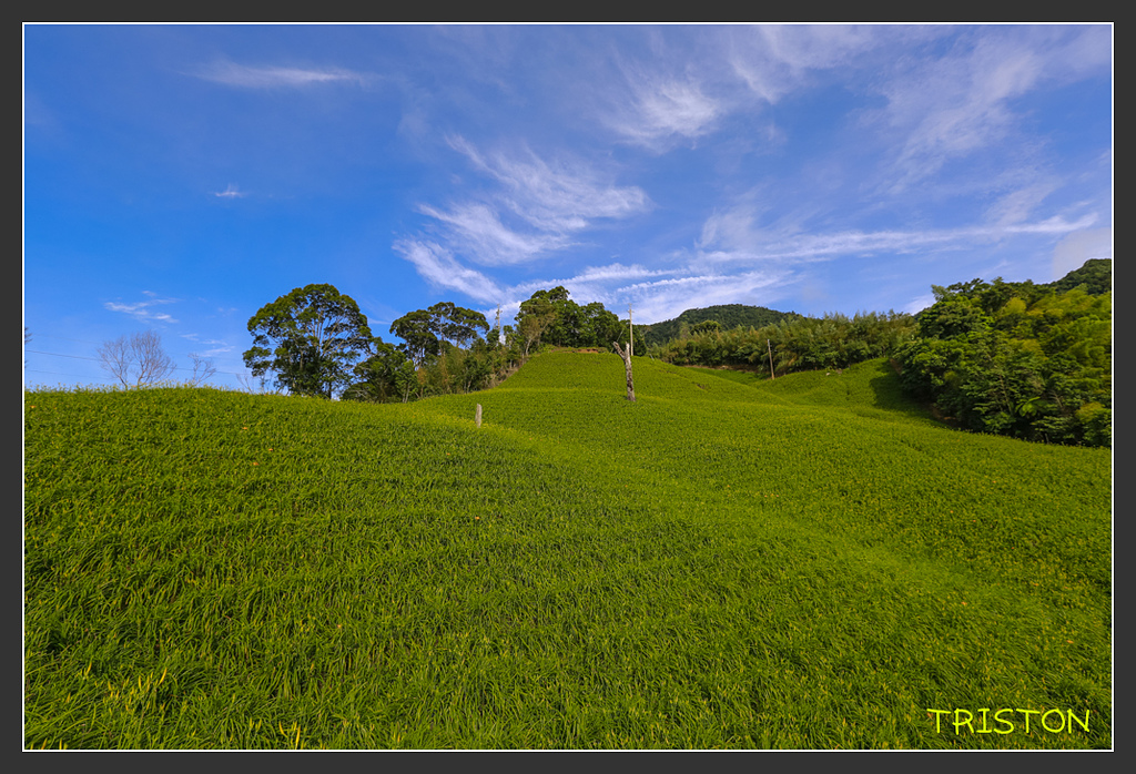 _H1A6612.jpg - 20170901 戀戀台九線