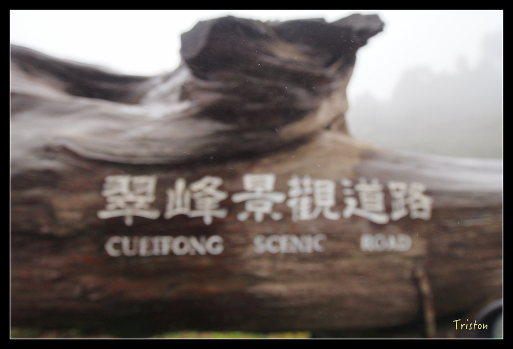 PA240050.jpg - 20151024~25 幾米公園、翠峰湖、翠峰山屋、望洋山步道、山毛櫸步道