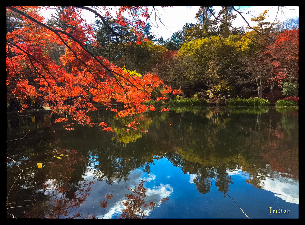 S__7536644.jpg - 20151031 秋天的童話-貴婦東京輕井澤紀行