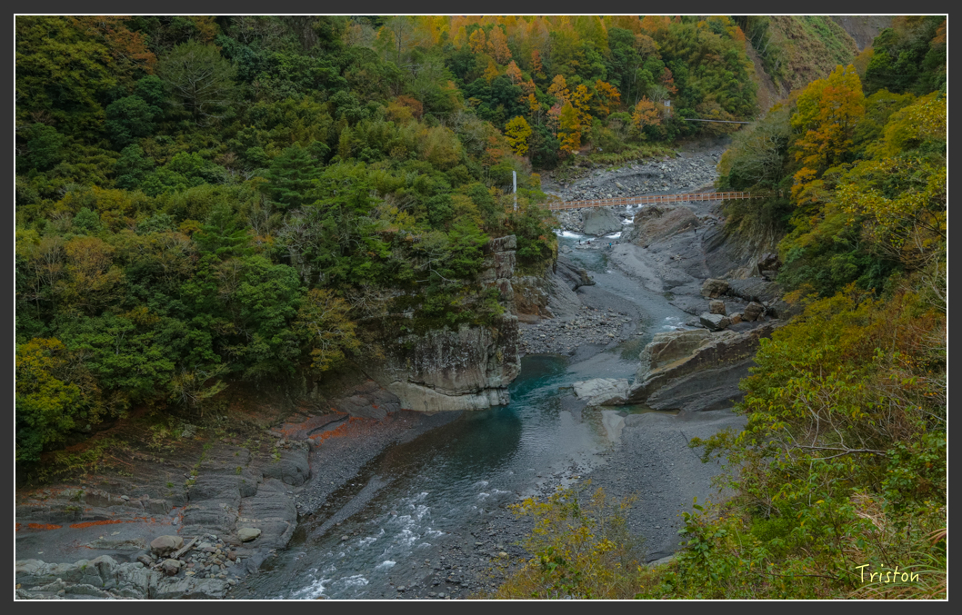 JH1A1128.jpg - 20151221 新竹秀巒賞楓