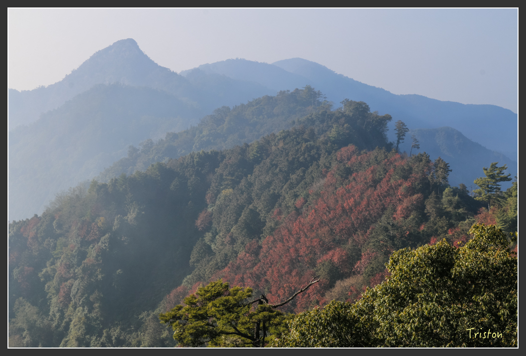 IMG_0721.jpg - 20151219 鳶嘴稍來山、小雪山林道
