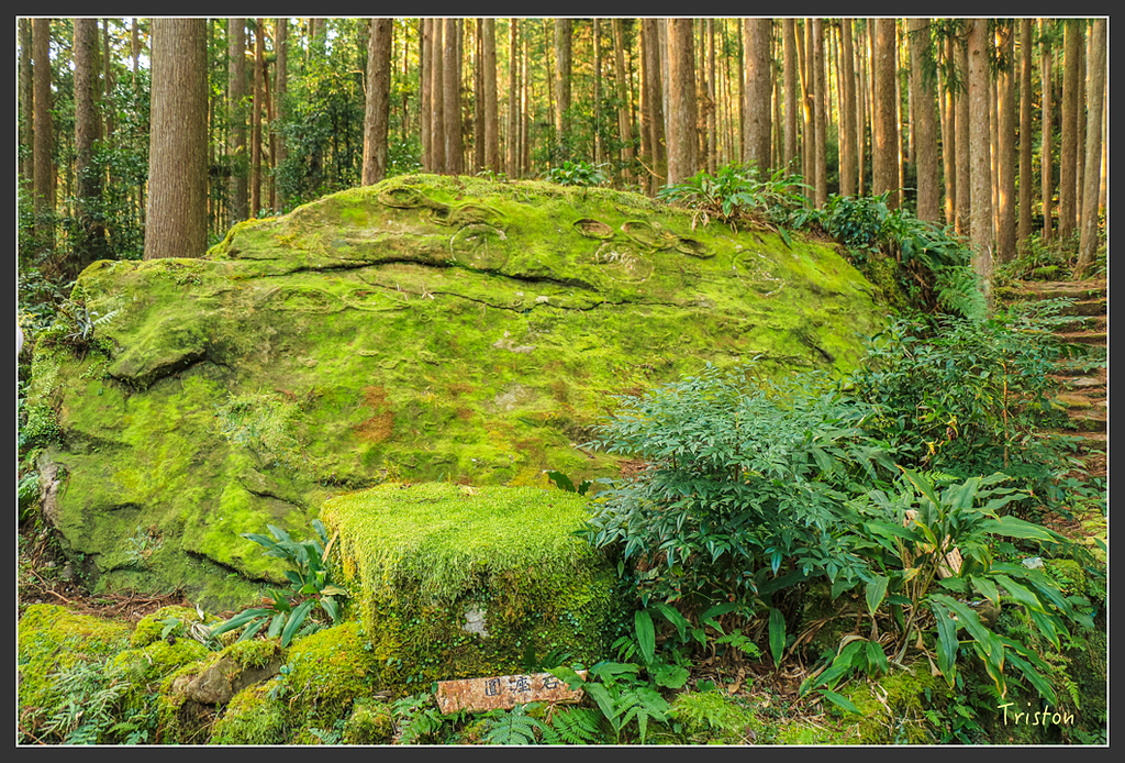 IMG_5325.jpg - 20160323 日本熊野古道健行