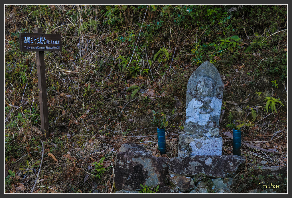 IMG_4666.jpg - 20160323 日本熊野古道健行