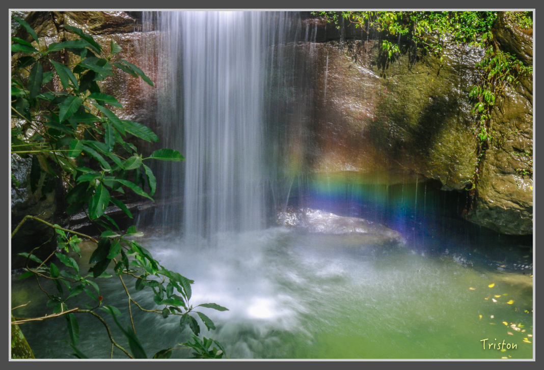 _MG_8655.jpg - 20160622 圓潭、雲潭、水社寮車站