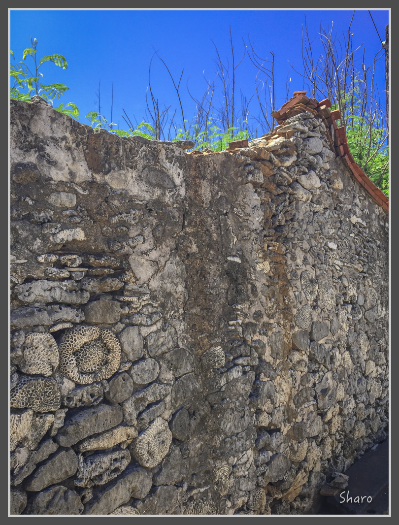 IMG_7817.jpg - 20160701 澎湖