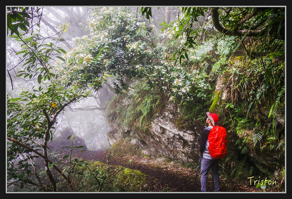 2017-02-27 10.03.53 下午 _MG_0485.jpg - 20170225 玉里瓦拉米