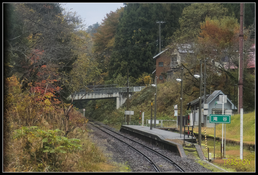 _H1A0277.jpg - 20171103 日本只見線、會津若松五色沼、昭和記念公園賞紅葉