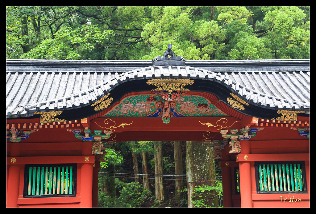 JH1A0037.jpg - 20150628 東京輕井澤日光