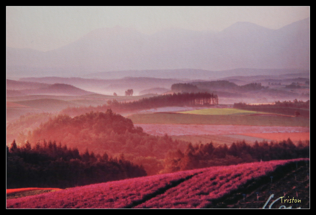 jh1a8723_21311131304_o.jpg - 20011002 北海道蜜月旅行