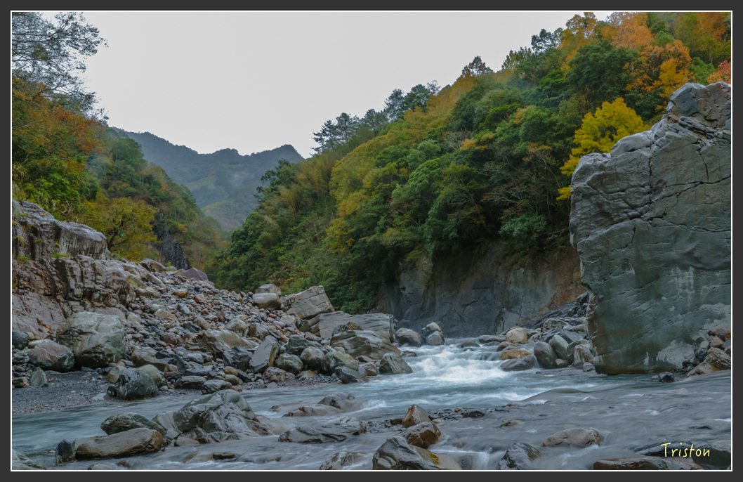 JH1A1135.jpg - 20151221 新竹秀巒賞楓