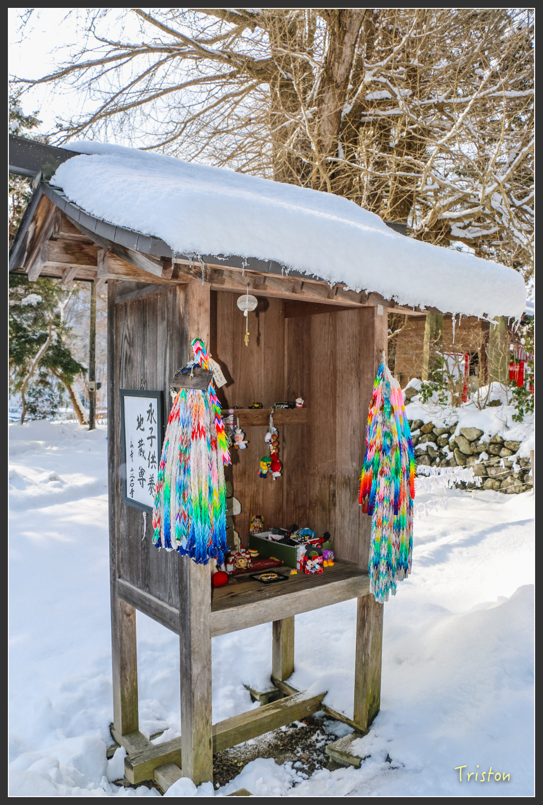 2016ZAO-00635.jpg - 20160131 日本藏王溫泉滑雪親子行