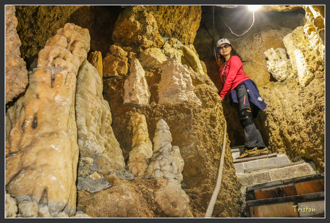 IMG_3216.jpg - 20160220 小崗山健行步道