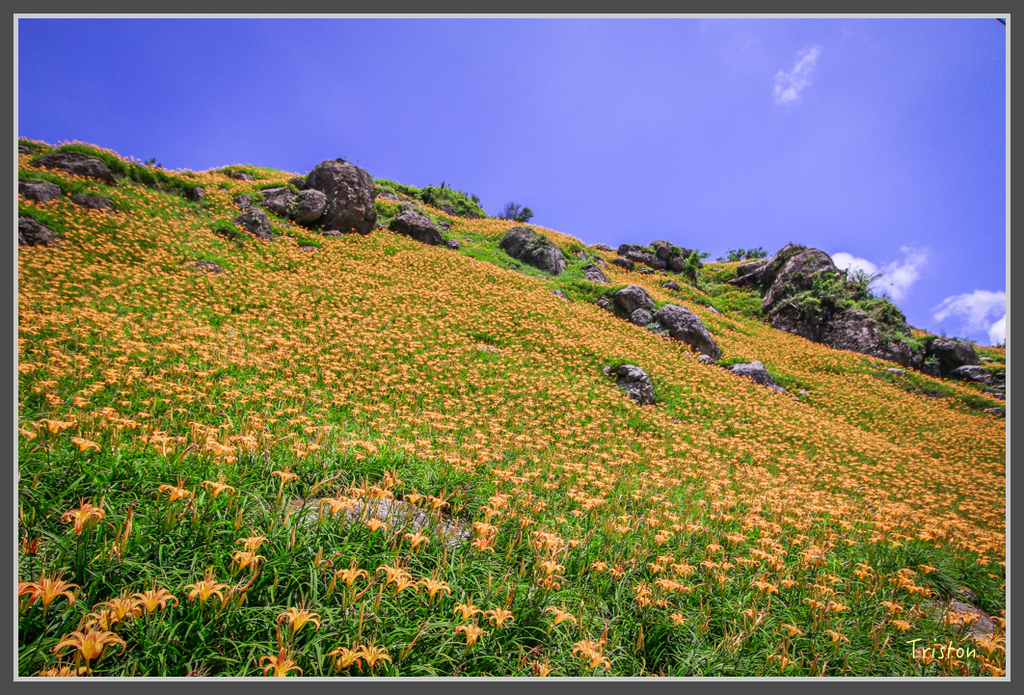 IMG-459.jpg - 20160821 中橫花東之旅