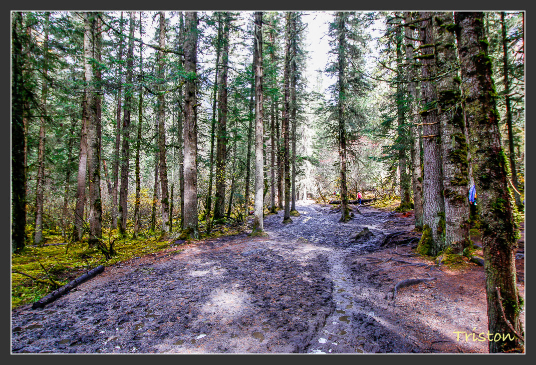 _MG_1017.jpg - 20161013 稻城亞丁