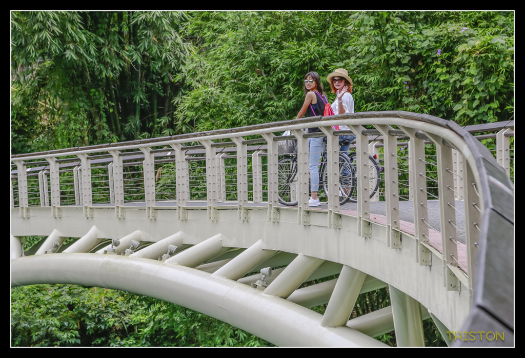 _H1A4960.jpg - 20170717 台北日月潭之旅