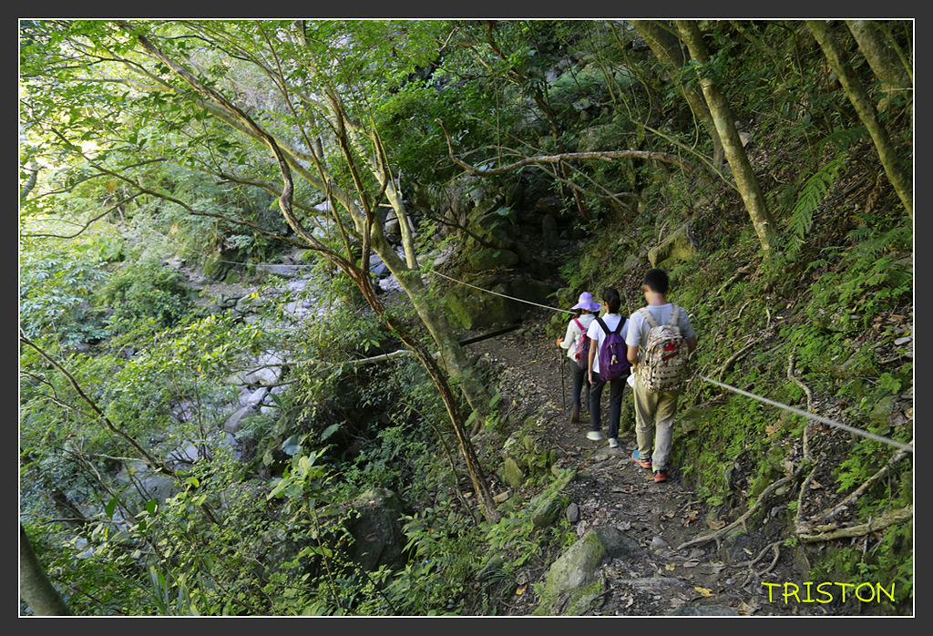 _H1A6285.jpg - 20170901 戀戀台九線