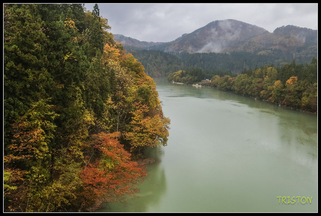 _H1A0290.jpg - 20171103 日本只見線、會津若松五色沼、昭和記念公園賞紅葉