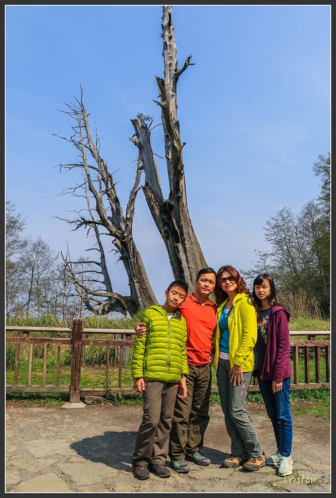 IMG_6214.jpg - 20160402 鹿林麟趾東埔山