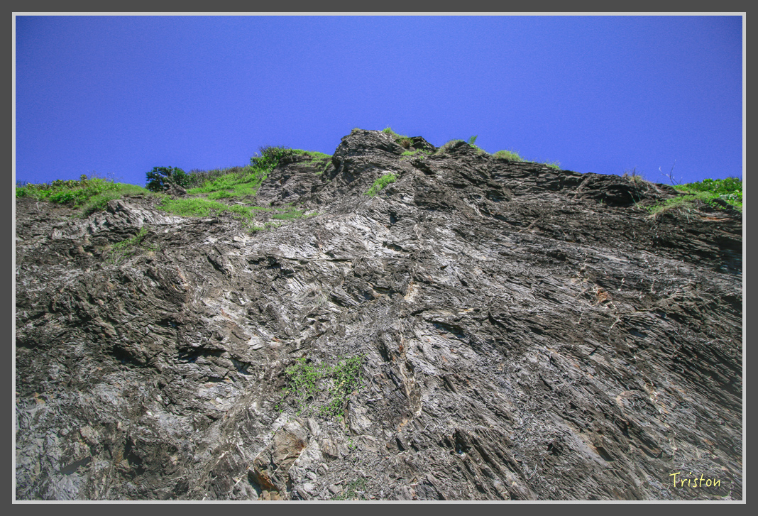 _MG_8292.jpg - 20160618 阿朗壹古道