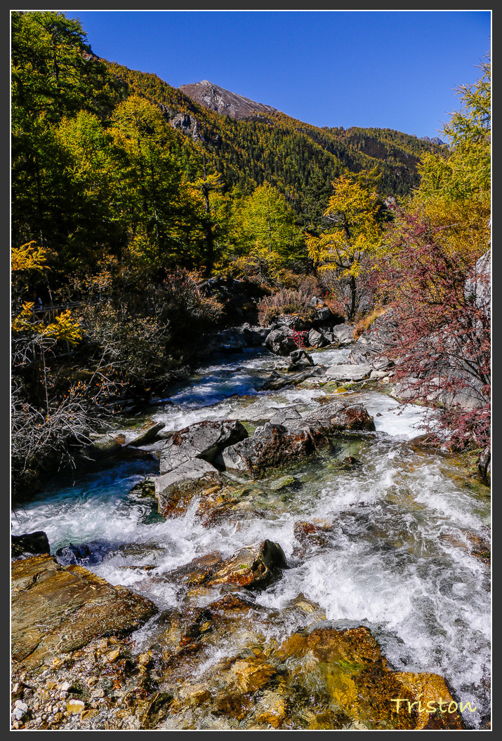 _MG_2342.jpg - 20161013 稻城亞丁