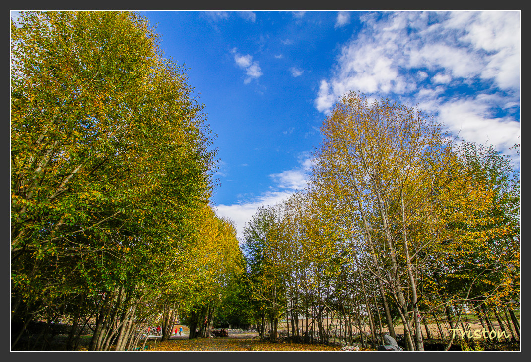 _MG_1365.jpg - 20161013 稻城亞丁