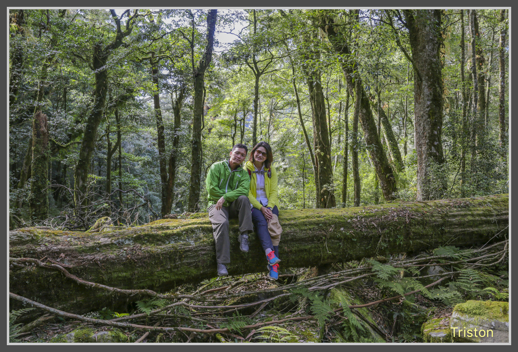 JH1A0536.jpg - 20161105 大雪山