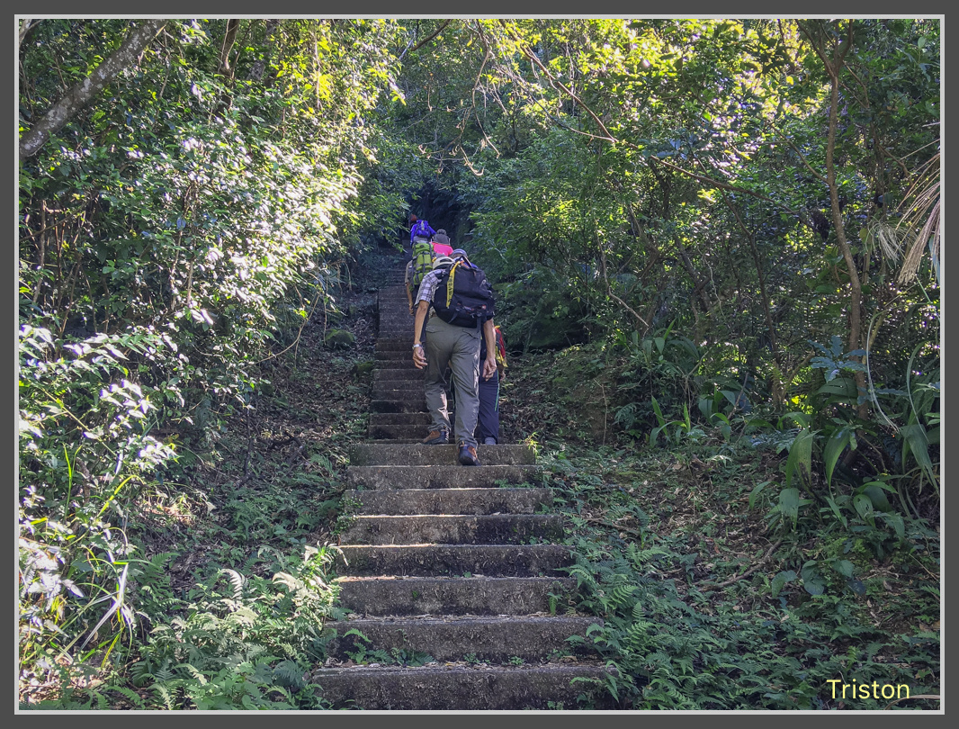 IMG_0991.jpg - 201161113 皇帝殿東西峰