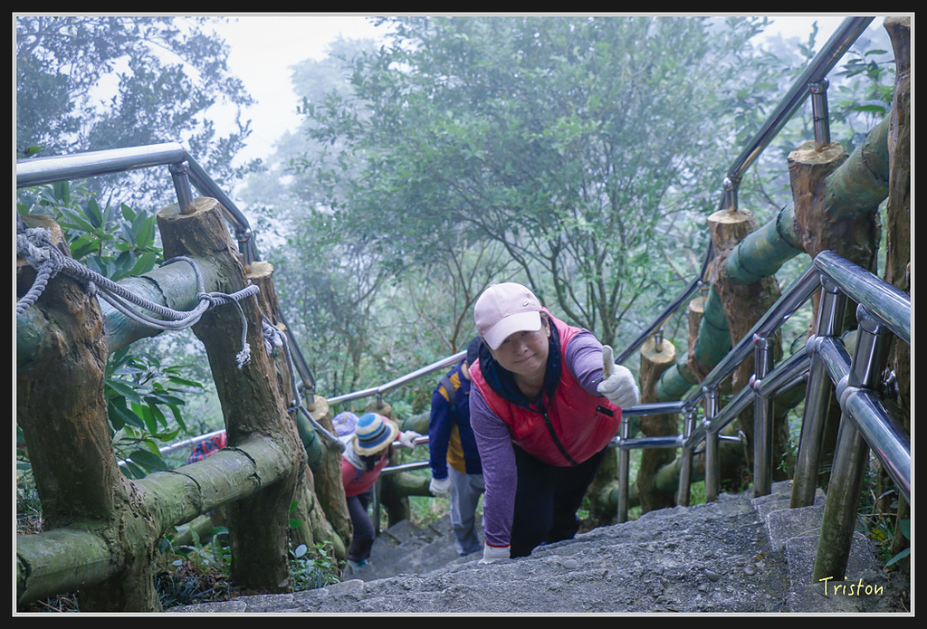 _MG_0709.jpg - 20170114 旗尾山