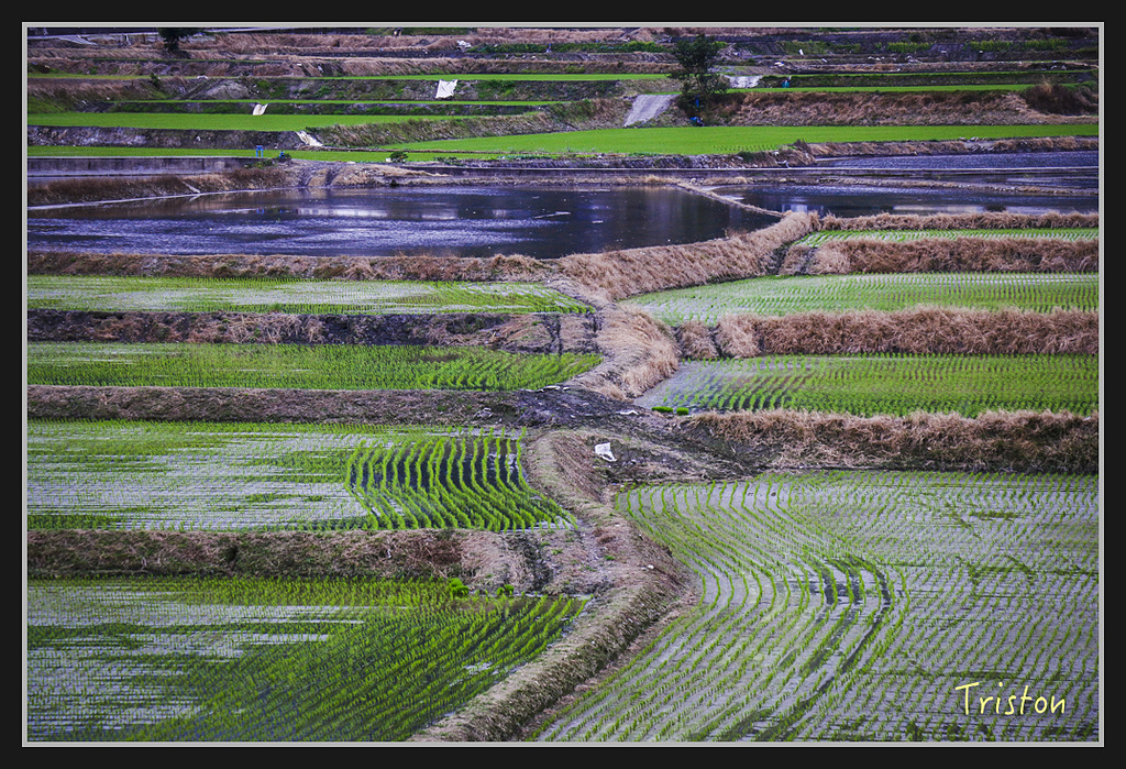 2017-02-27 10.03.53 下午 _MG_0123.jpg - 20170225 玉里瓦拉米