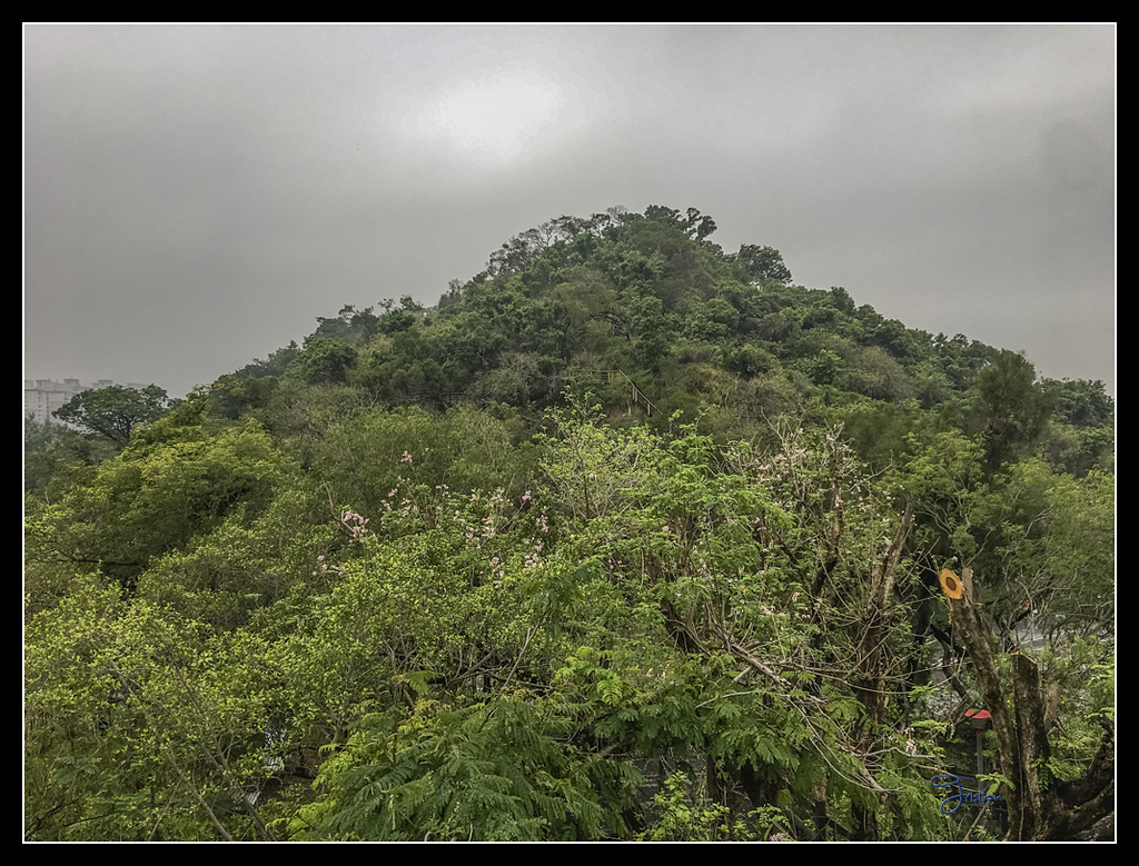 IMG_2723.jpg - 20170422 左營龜山步道、舊城