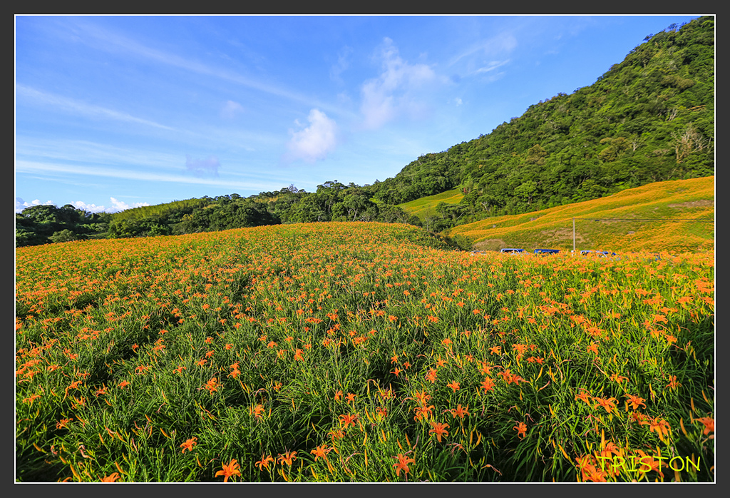 _H1A6673.jpg - 20170901 戀戀台九線