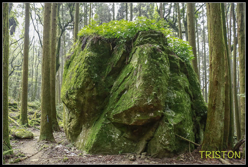 _MG_0076.jpg - 20170920 加里山