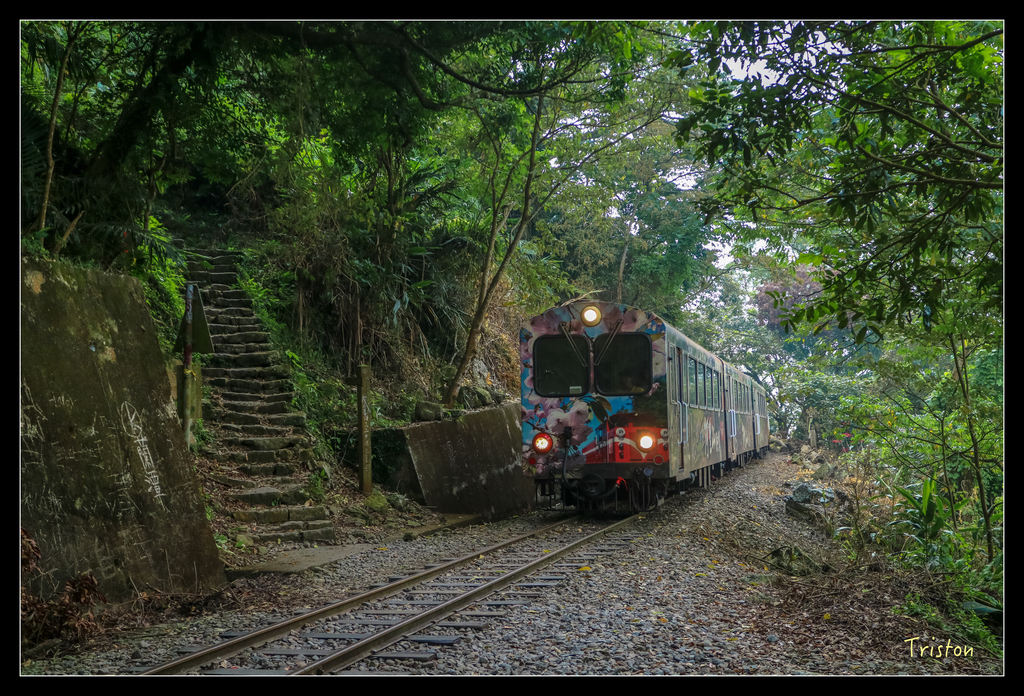IMG_0735.jpg - 20151115 獨立山步道