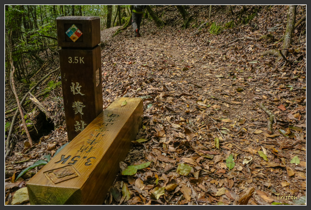 IMG_1170.jpg - 20151219 鳶嘴稍來山、小雪山林道